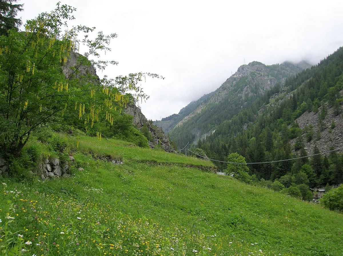 Come Arrivare a Gressoney-La-Trinité: La Guida Completa