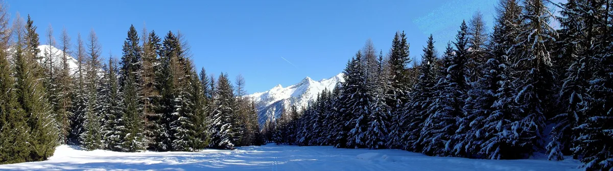 Dove Mangiare a Cogne: Un Viaggio nei Sapori della Val d'Aosta