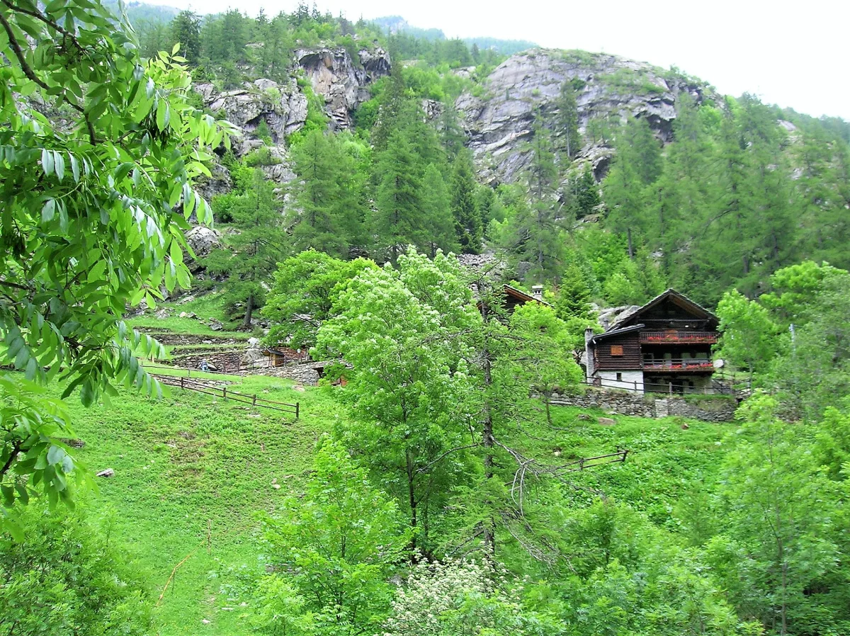 Dove Mangiare a Gressoney-La-Trinité: Un Viaggio nei Sapori Walser