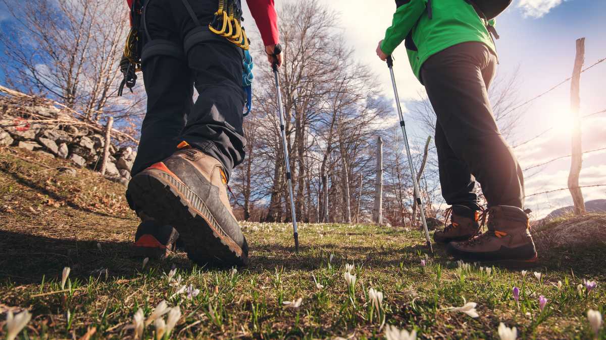 I migliori trekking vicino a Gressoney-La-Trinité