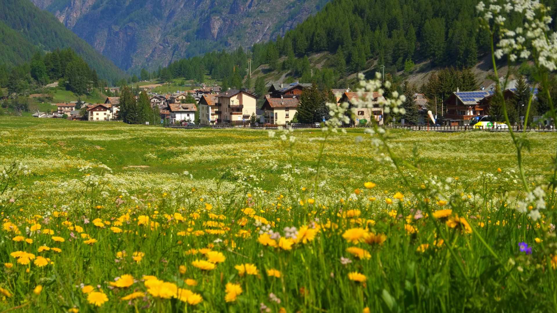 Cogne, Valledaosta